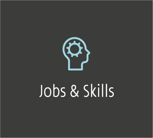 Jobs & Vaardigheden